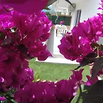 Bed & Breakfast Riviera 3*