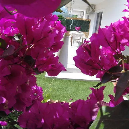 Bed & Breakfast Riviera 3*